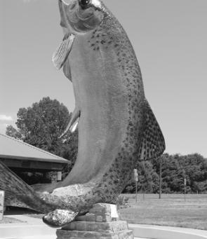 The Big Trout for which Adaminaby is justly famous. In January this 10m-high Rainbow had a $10,000 renovation and facelift done by local company Skins Alive, which specialises in fibreglass moulds and taxidermy. John and Maureen Ruiz do a huge amount